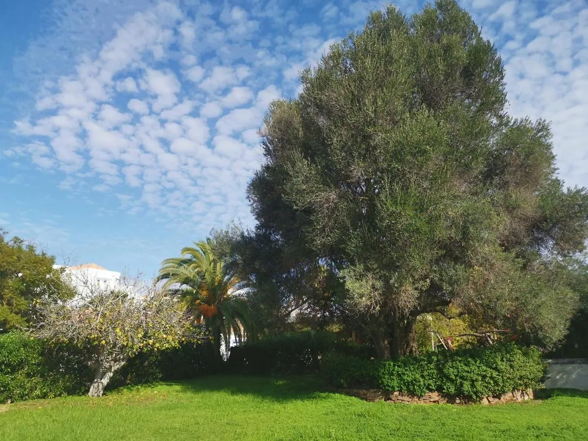 Algarent Quinta Velha Jolie 11 Διαμέρισμα Cabanas De Tavira